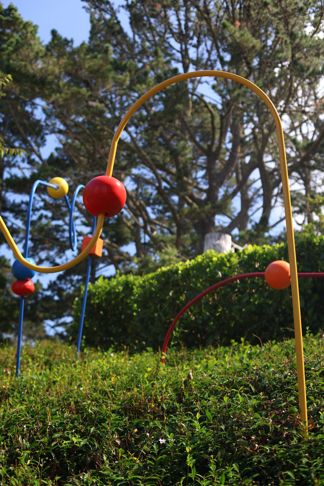 The Kaipara Coast Sculpture gardens