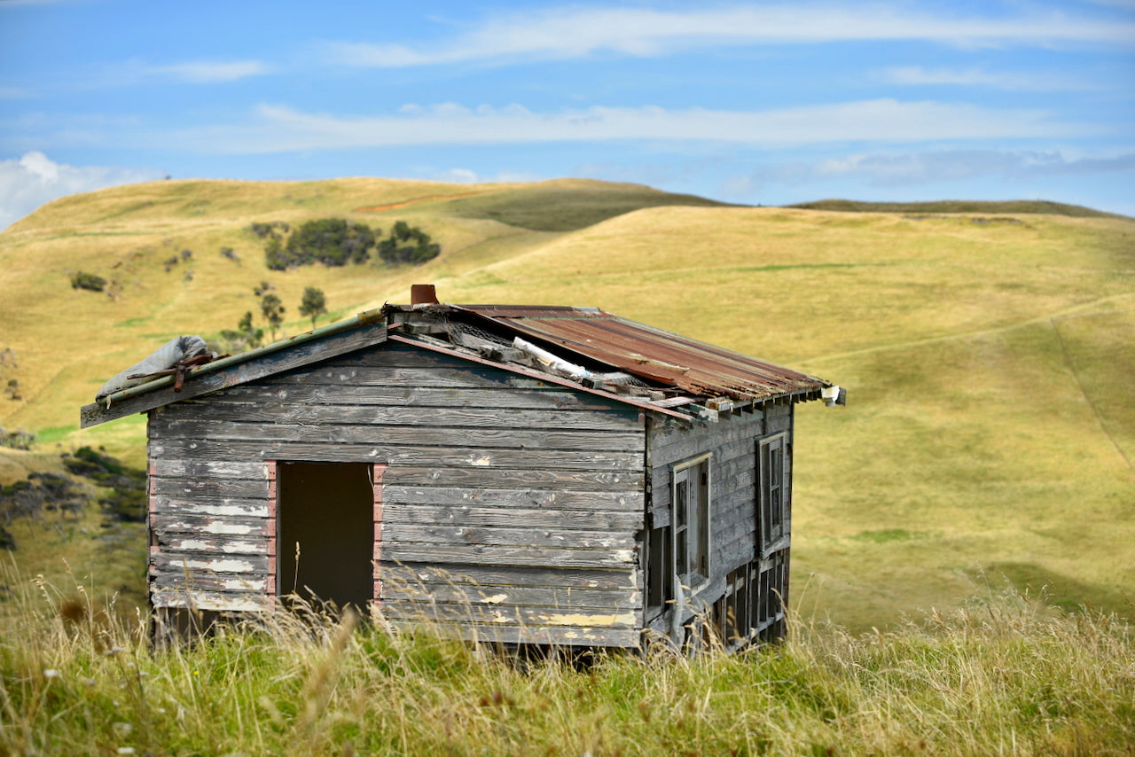 The Ruapuke House