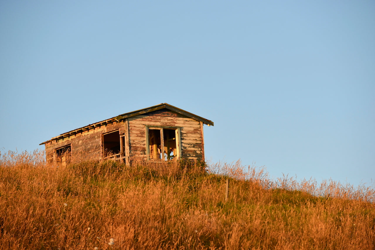 The Ruapuke House
